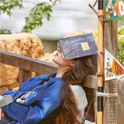 黑之契约者2:流星的双子